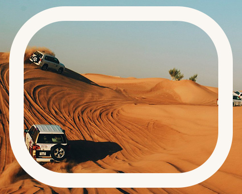 Desert Safaris